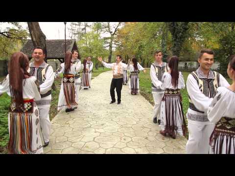 Doru Taranu - Hai la bagea cu mustata (FULL HD)